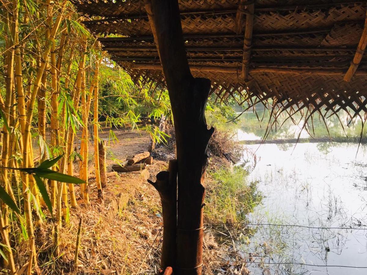 Aliya Riverside & Safari Resort Udawalawe Exterior photo