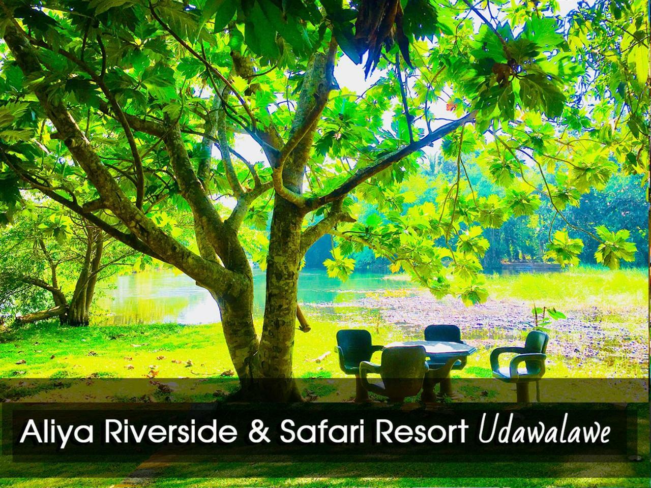 Aliya Riverside & Safari Resort Udawalawe Exterior photo