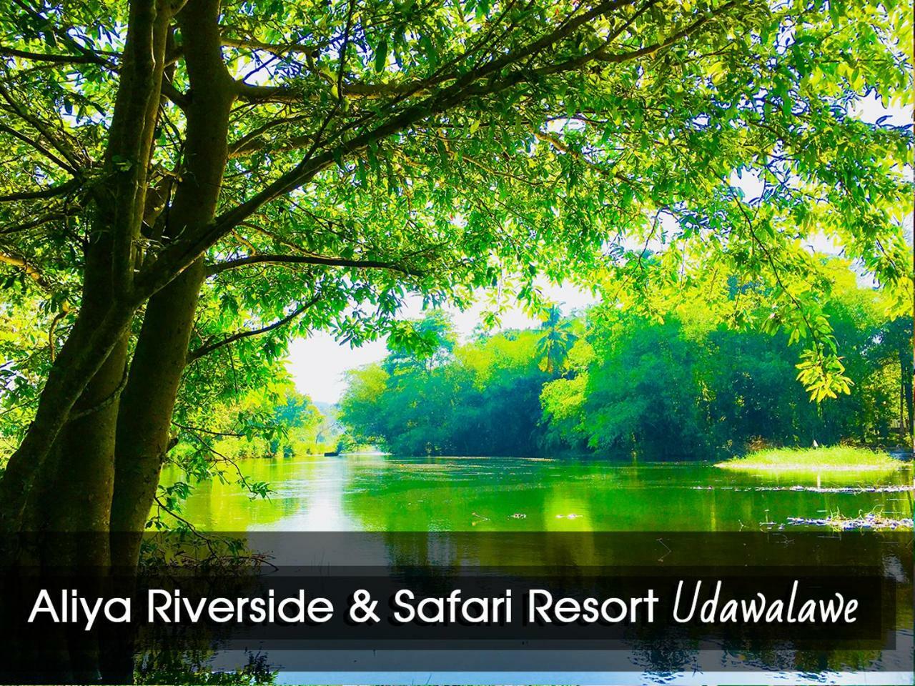 Aliya Riverside & Safari Resort Udawalawe Exterior photo