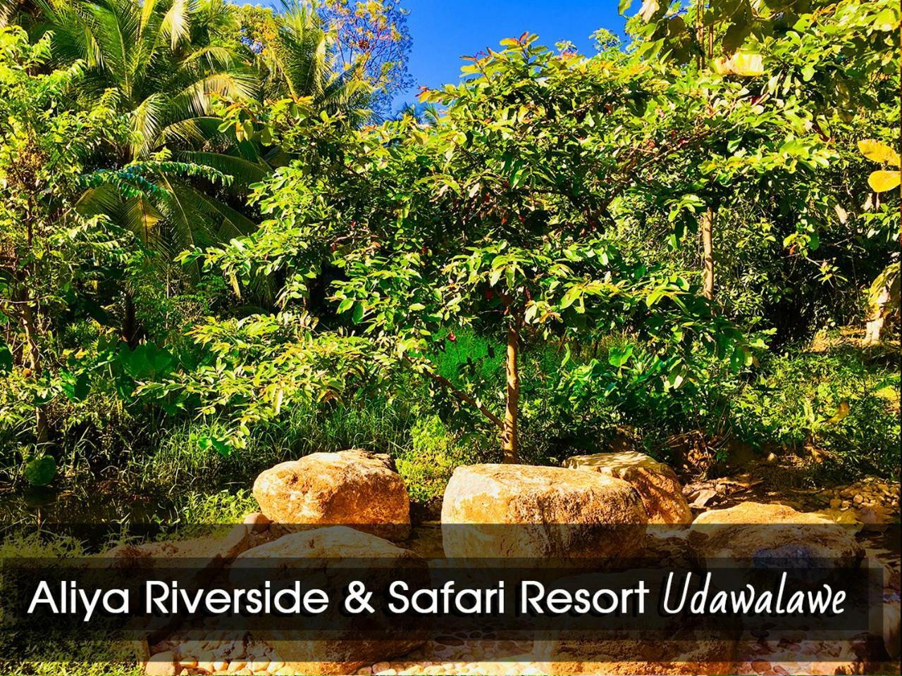 Aliya Riverside & Safari Resort Udawalawe Exterior photo