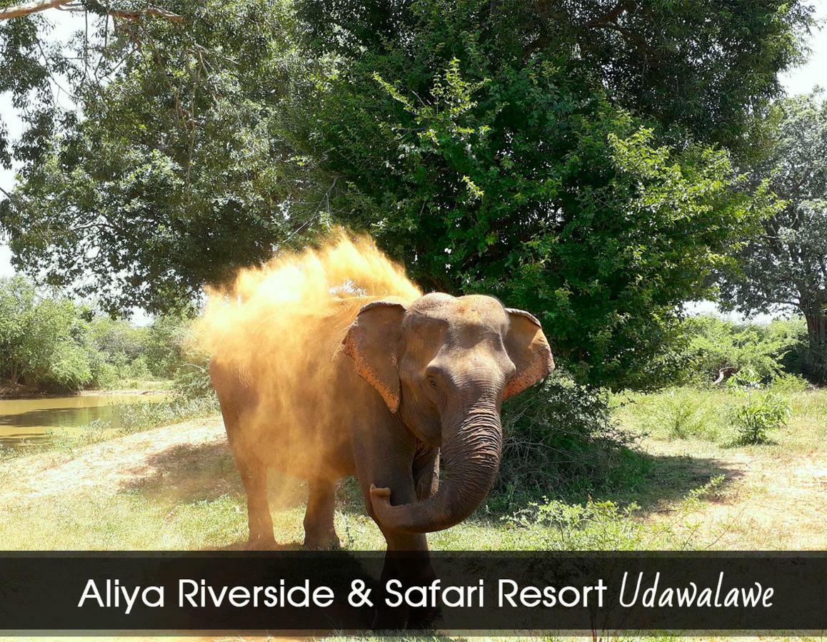Aliya Riverside & Safari Resort Udawalawe Exterior photo